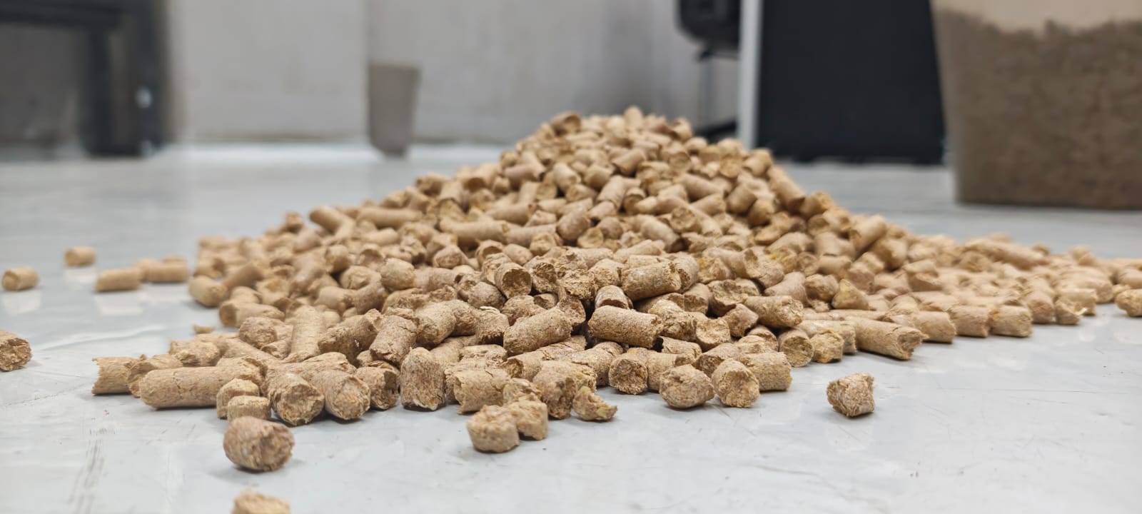 Actual Feed-Grade Pellet Close-Up Photo