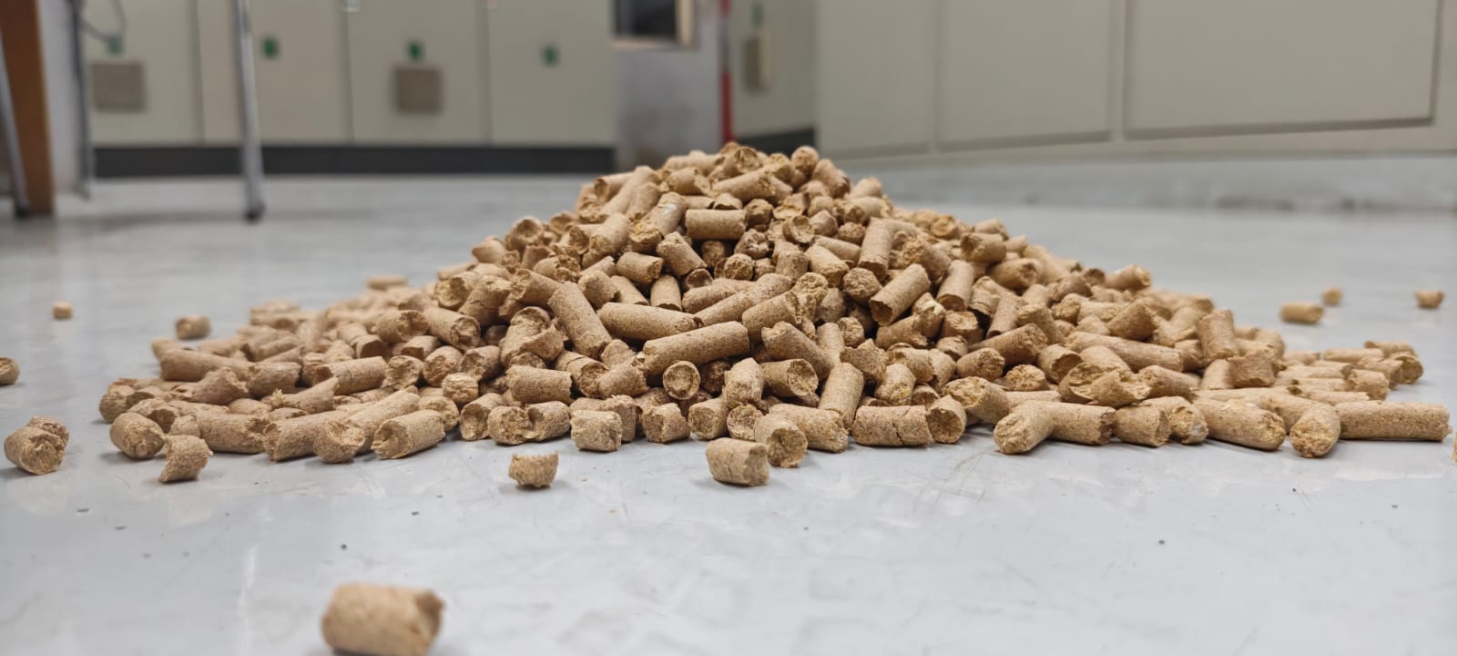 Pellet Sample 2
